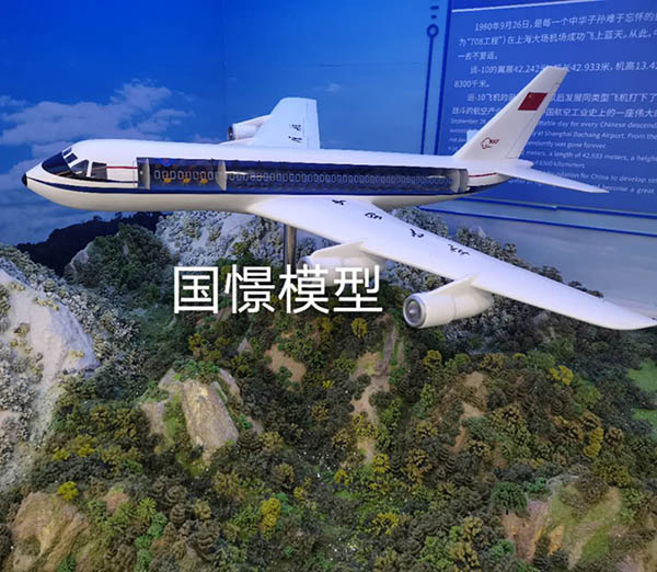 重庆飞机模型